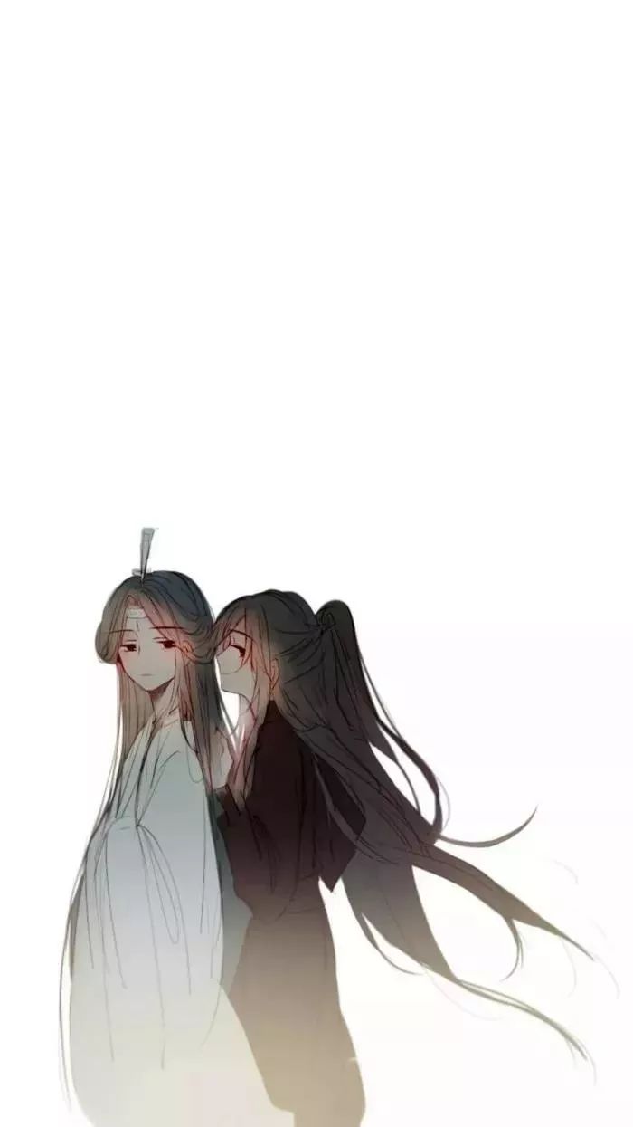 魔道祖师壁纸 |  原以为殊途同归，却不想同道殊途