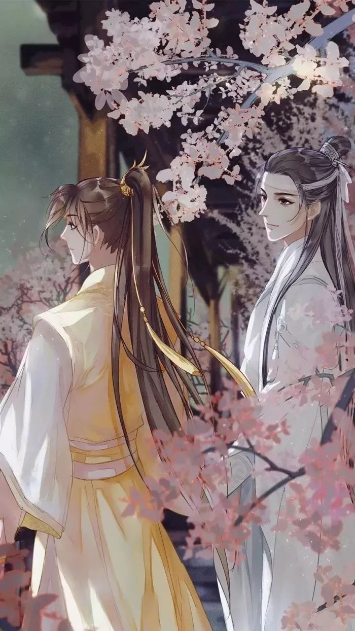 魔道祖师壁纸 |  原以为殊途同归，却不想同道殊途