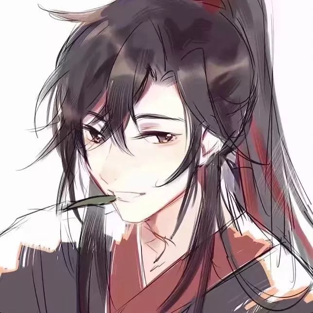 魔道祖师忘羡头像