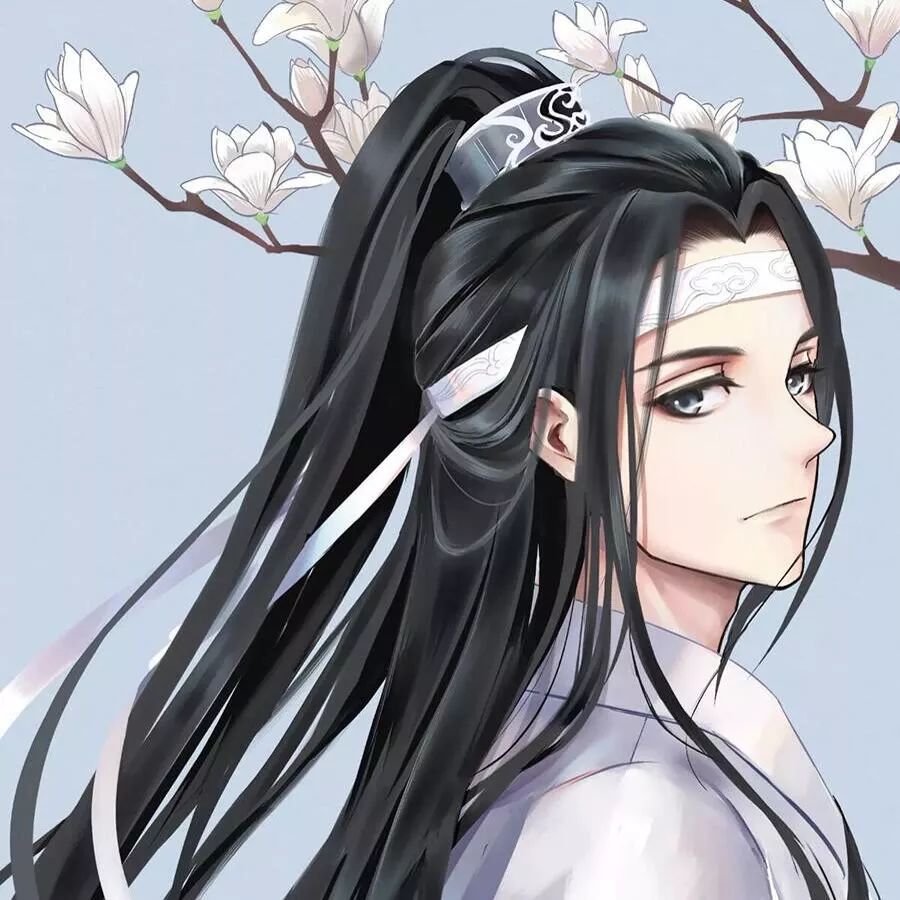 魔道祖师忘羡头像