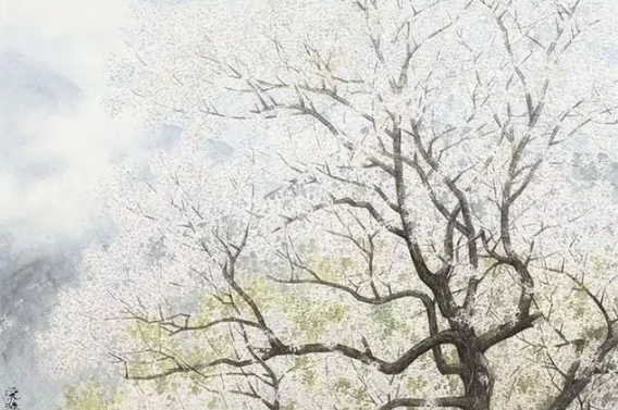 美文丨年少不懂这些情，待到懂时已白头！